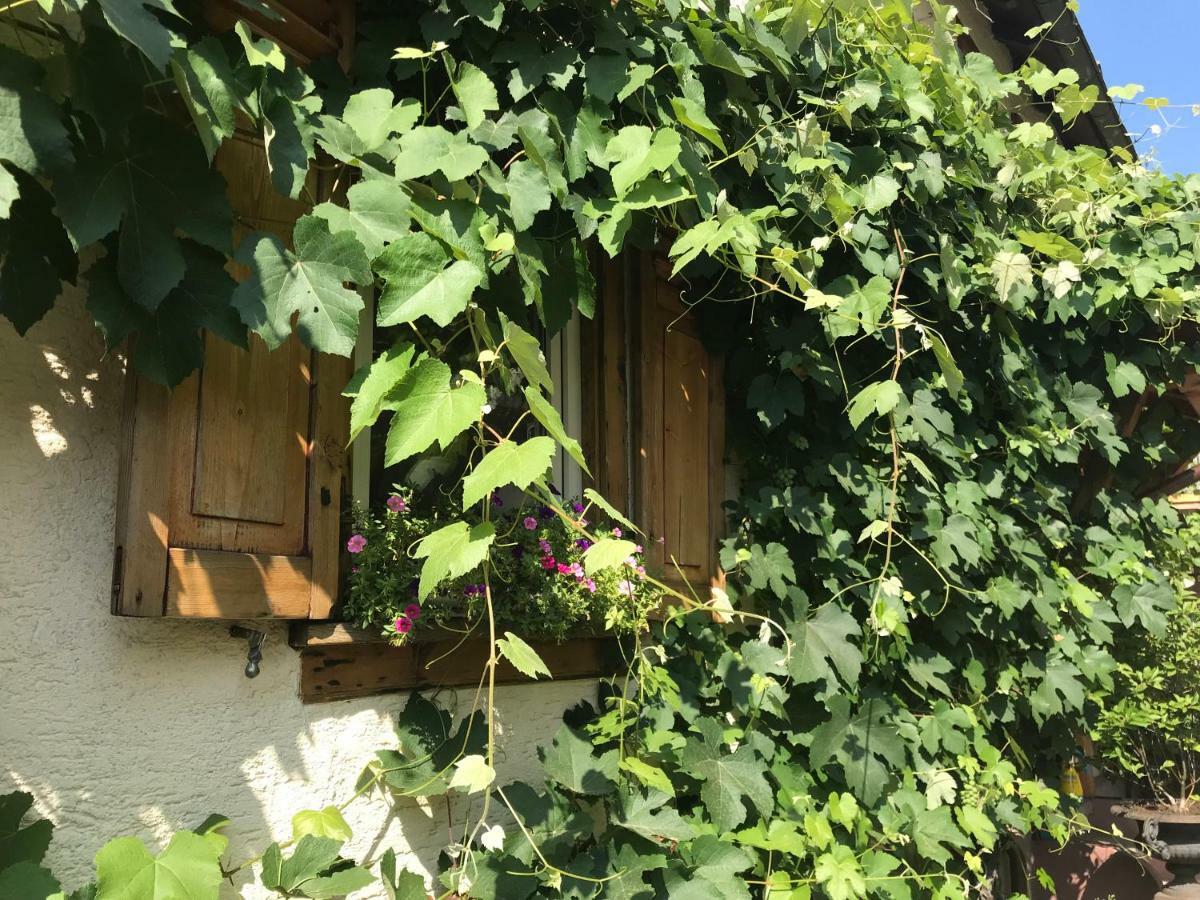 Tante Berg B&B บาด วิลเบล ภายนอก รูปภาพ